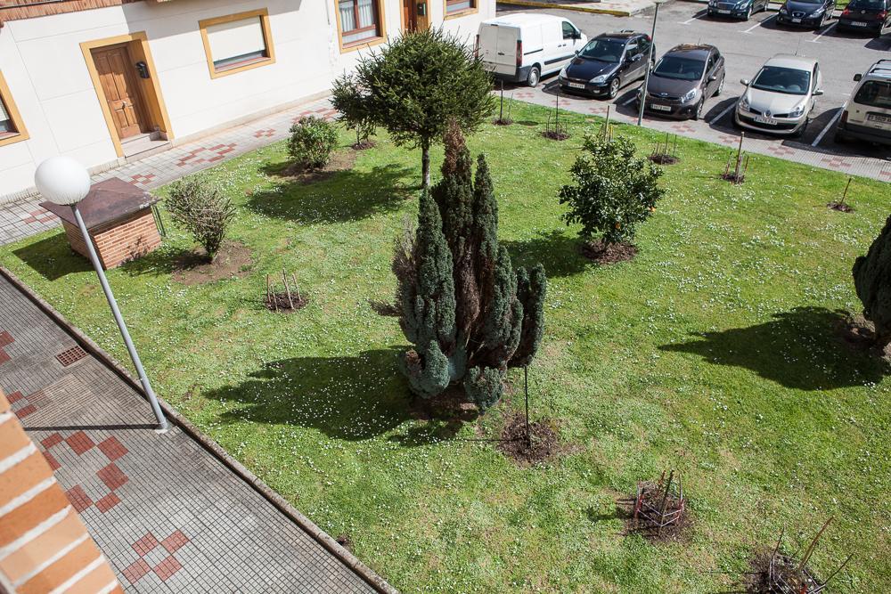 Los Rosales Saron Exteriér fotografie